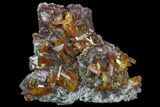 Wulfenite Crystal Cluster - Rowley Mine, AZ #76911-1